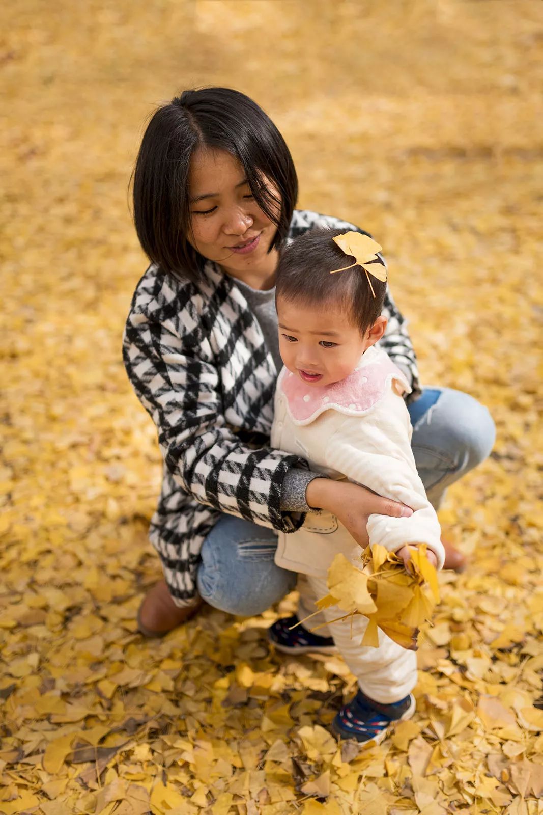 “妈，我在华师看了一场金黄色的雪！”