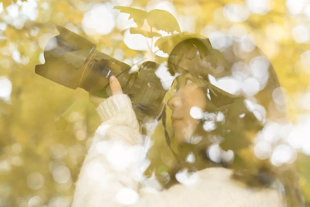 “妈，我在华师看了一场金黄色的雪！”