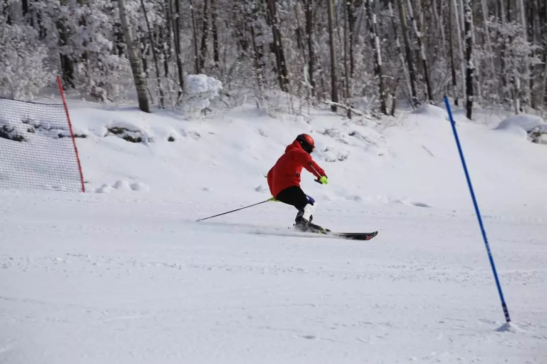 元旦雪天交警提示,交警元旦两公布一提示图片