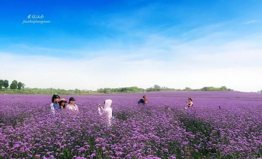 句容最美风景区,你还不知道有哪些美景