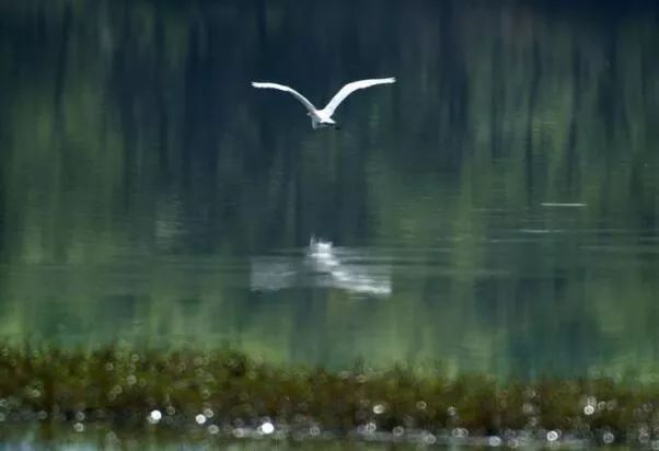 句容最美风景区,你还不知道有哪些美景