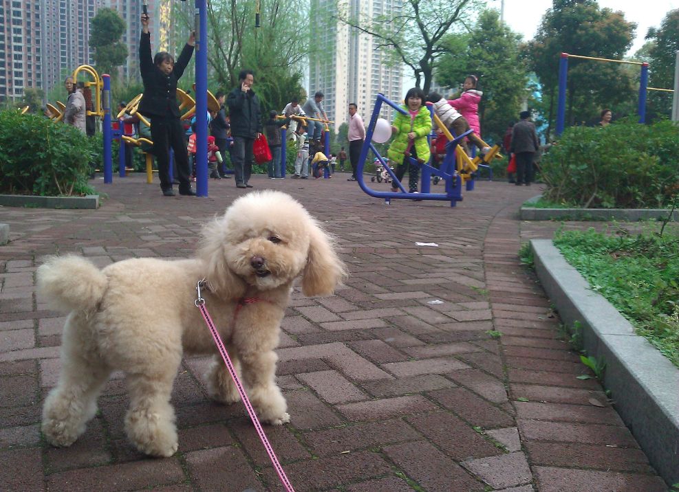 义乌篁园市场要拆了吗,义乌篁园市场现在还让开吗