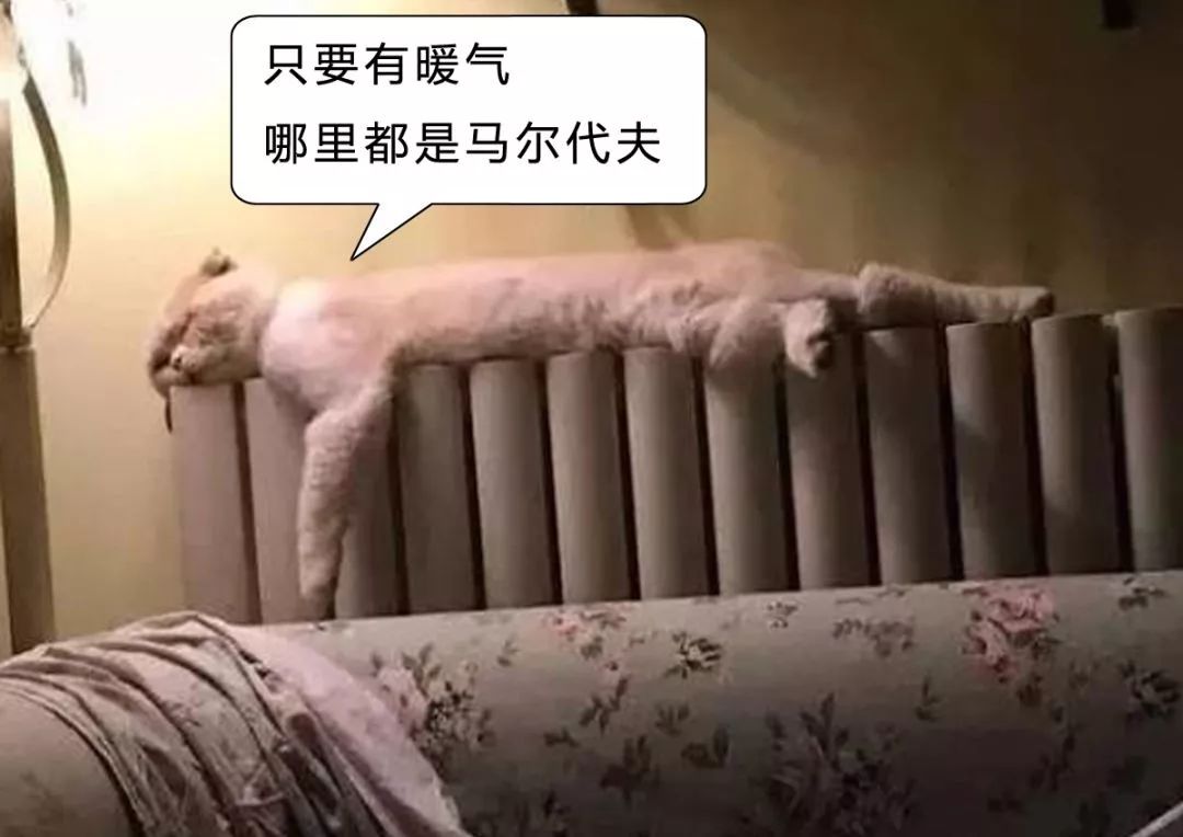 暖气使用时间长了,暖气放气放到什么程度是没有气了