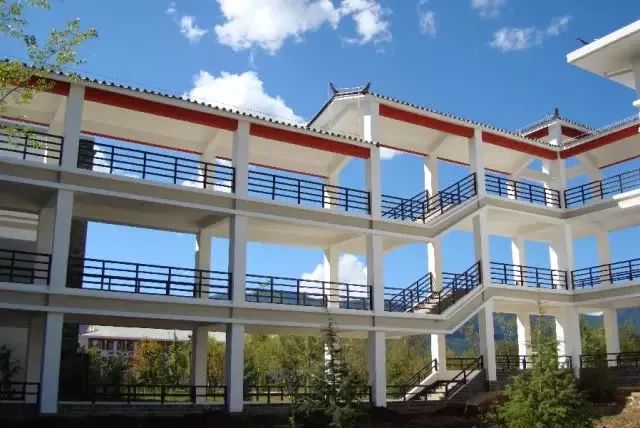 丽江在世界排名第一的大学,想想就激动