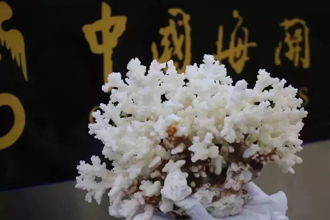 去香港澳门要注意什么安全,去澳门的十大忌讳有哪些