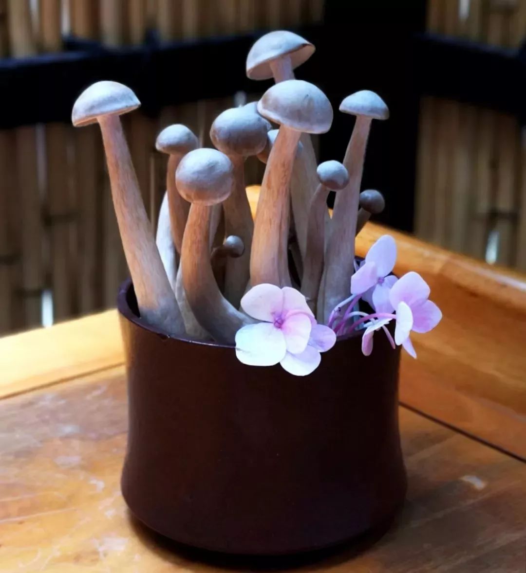 成都最好的素食火锅,成都火锅素食哪家好吃