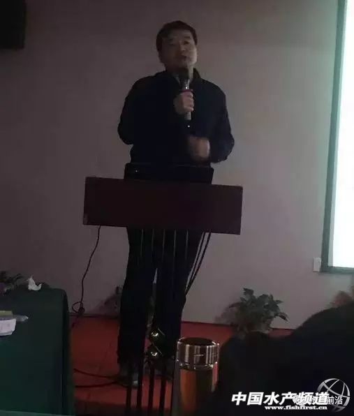 今天塘头50-60条泥鳅价格,泥鳅价格2022年塘头价