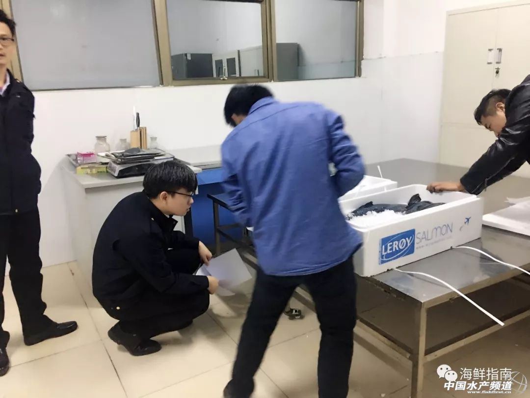 进口的三文鱼是新鲜的还是冷冻的,正宗挪威三文鱼购买渠道