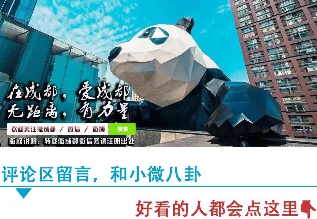 四川代表团开放了吗,四川代表团举行开放团组会议