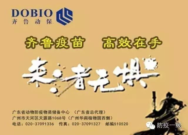 母猪屡配不孕的原因及处理措施