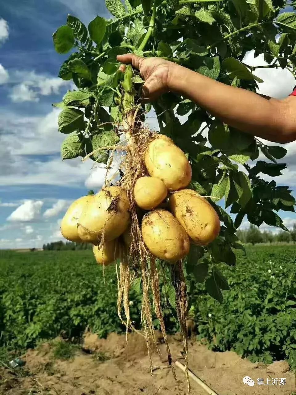 说改革开放,改革开放40年吃得好要珍惜