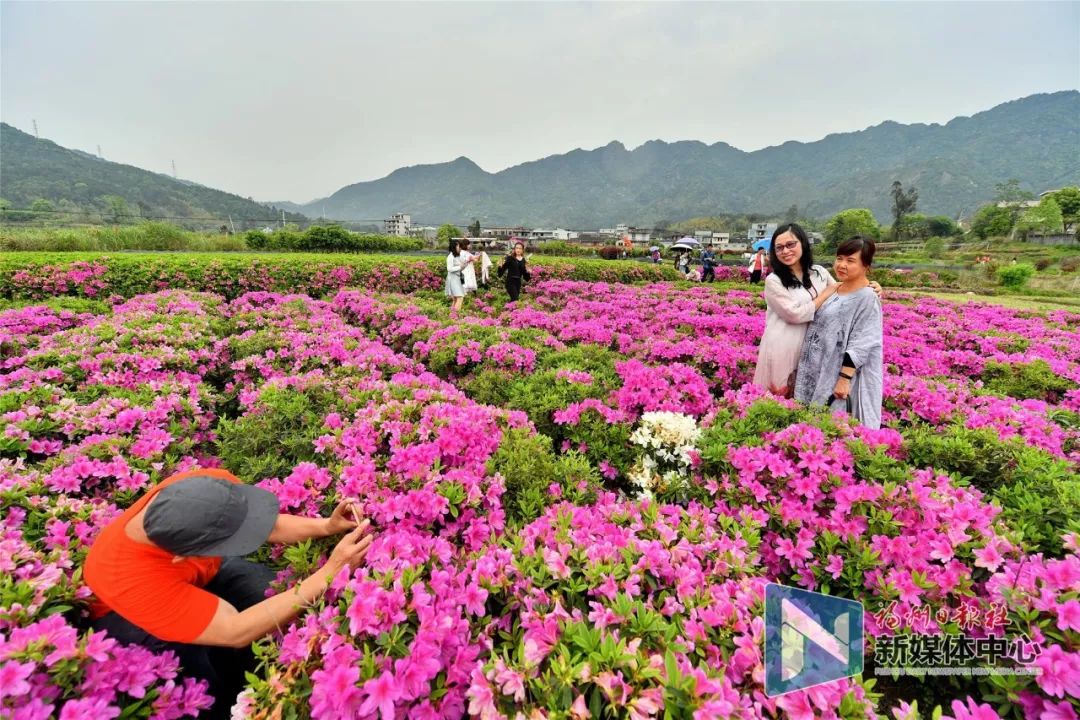 这里是宁德,这里是福建