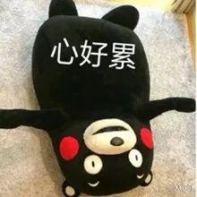 上了大学的孩子英语应读什么,上了海南大学会怎么样