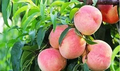 上海浦东2023年gdp增量,浦东gdp占比