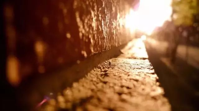 涨知识元旦原来是这么来的,你了解到的元旦知识