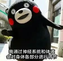 广州跨年有什么值得去的地方,跨年必去地方