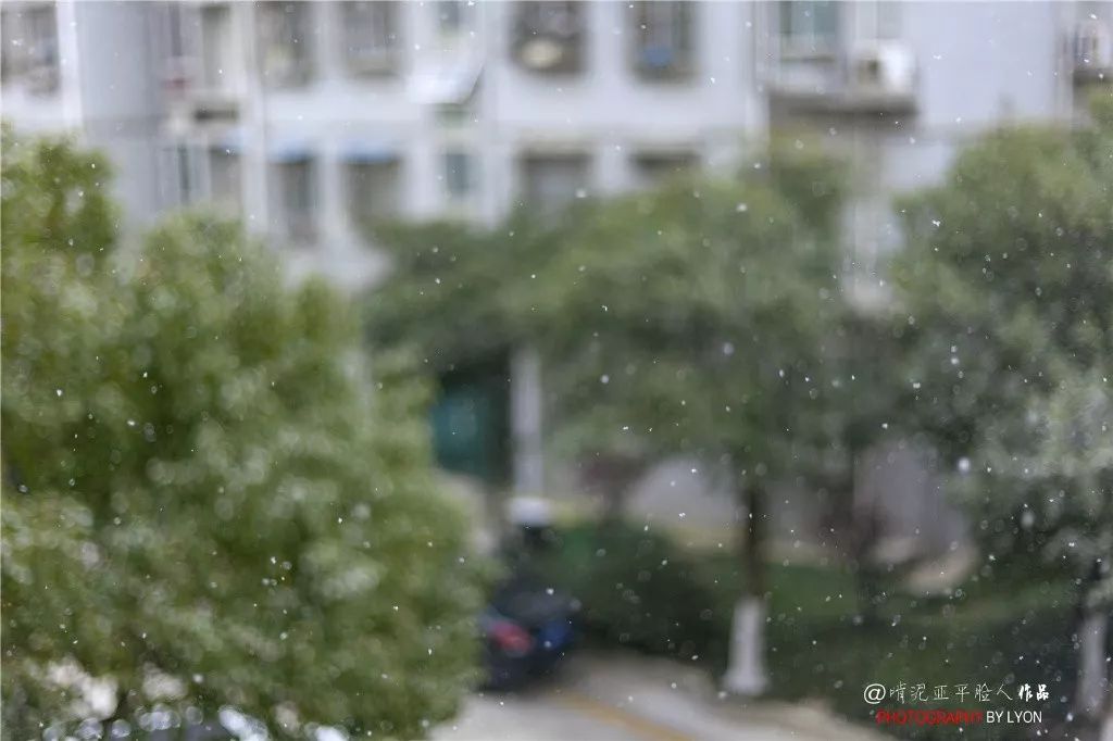 雪在认真的下！路上小心！最新路况在这里！