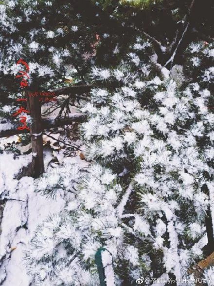 雪在认真的下！路上小心！最新路况在这里！