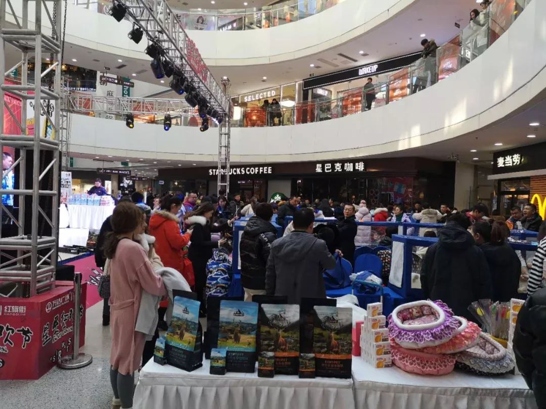 新闻综合广播｜「宠爱有家」之喵星驾到