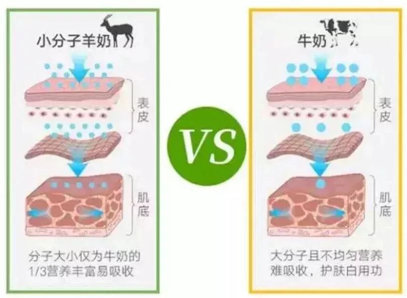 山羊奶面膜好用吗,不到5块一片的面膜