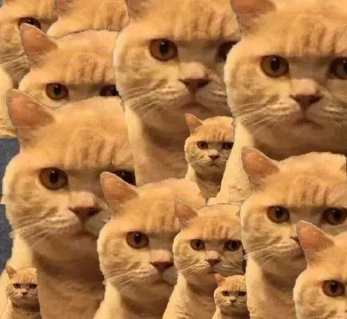 既是舅舅又是姑父应该叫哪个称呼,姑父的舅舅