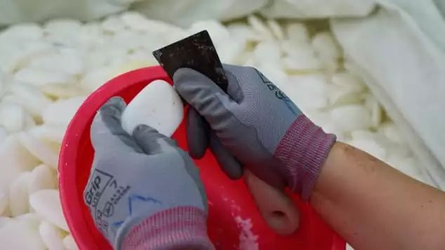 小肥皂骗局揭秘,酒店里没用完的肥皂都去哪了