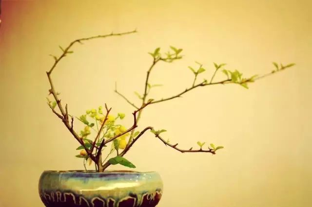 二十四史经典语录100个,100句古今绝美句子