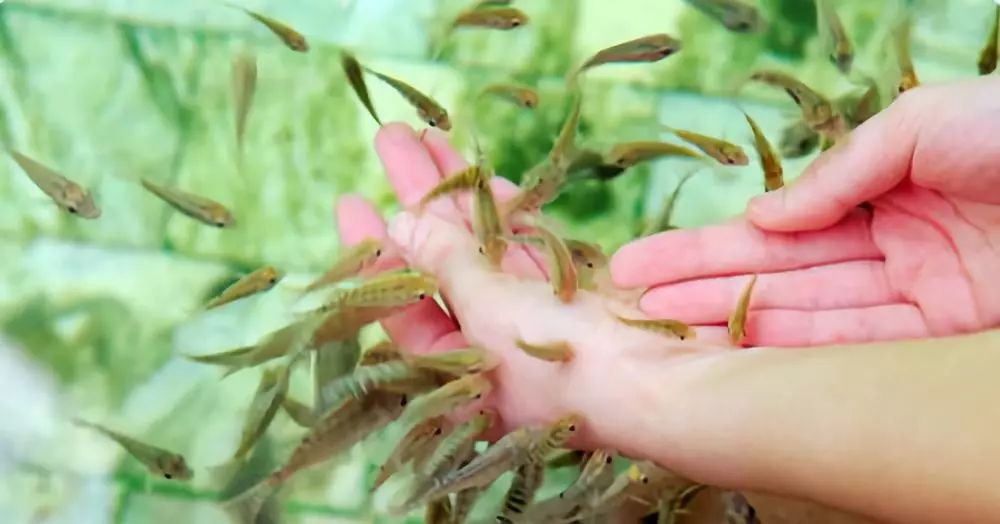 吉林攻略冬天,吉林冬天温泉攻略一日游