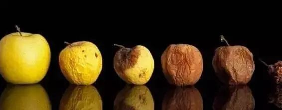 去除腐烂部分的果蔬还能吃吗?