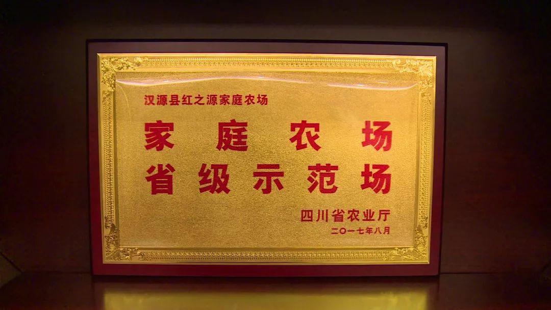 李勇在创业,汉源李勇