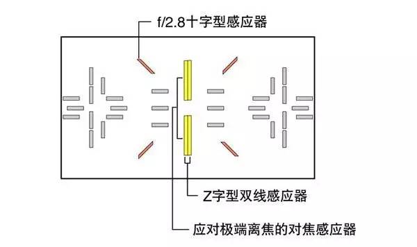 摄影后期怎么提高照片清晰度,不会正确对焦难怪你拍照不清晰