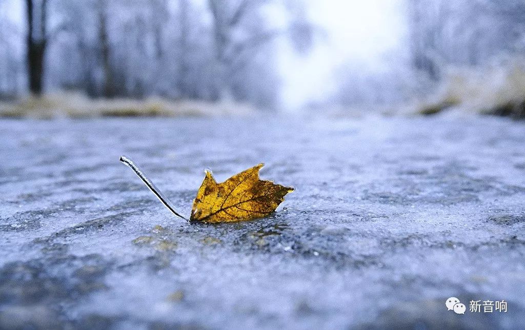 hi-end音响,hi-end音响的要求