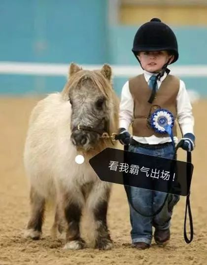 有哪些痣会被误认为黑色素瘤,什么样的痣容易变成黑色素瘤