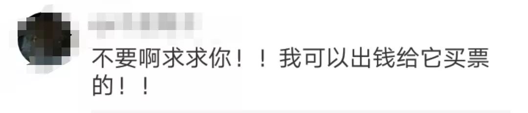 本周六深圳的最低气温和最高气温,12月25日深圳天气