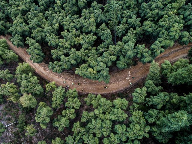 新华社年度体育照片,新华社2017体育年度照片