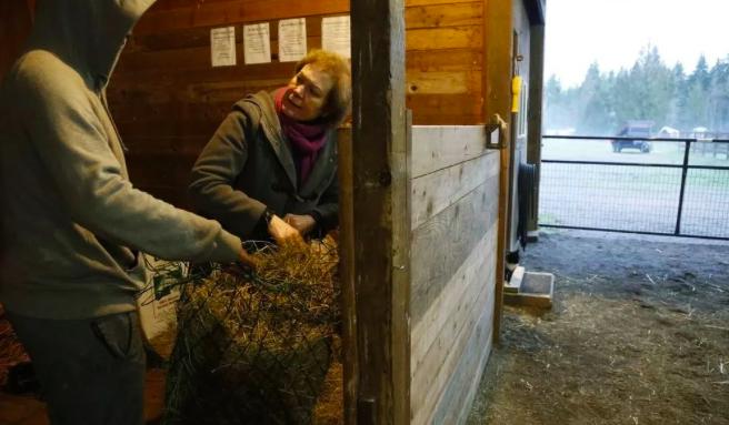 青少年网瘾治疗中心,成年人网瘾戒除机构