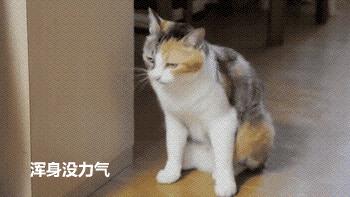 男生对女生来大姨妈有多少误解,女生让男生知道了大姨妈