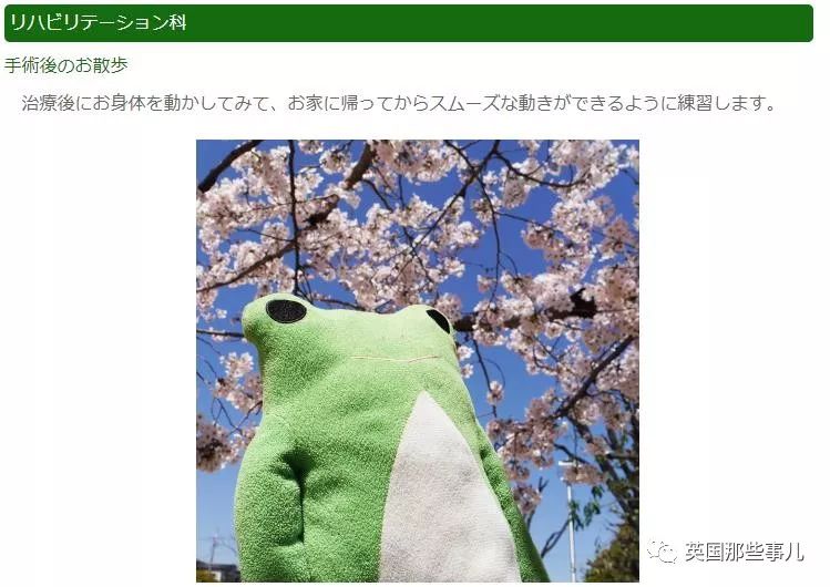 看到陪伴自己长大的玩偶获得重生，大概真的会开心到流泪吧