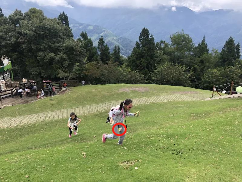 团｜法国巨眼丛书，带孩子玩转科普+专为孩子设计的宝宝拍相机+用了会上瘾的日本内野毛巾+Dr.wild抛光去渍牙膏