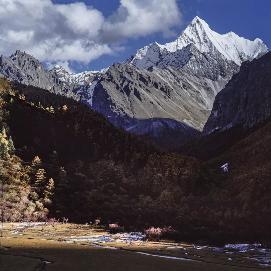 稻城最高的地方,最高级栖息地