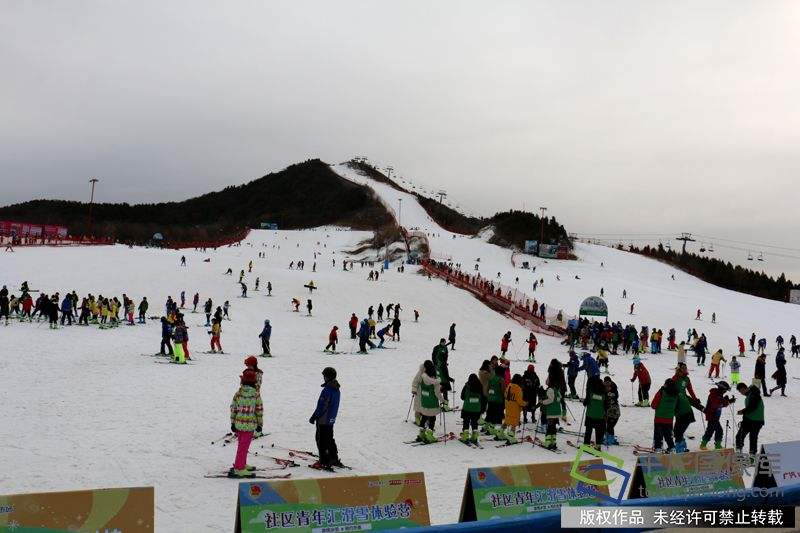 速度与激情激烈比拼,速度与激情比赛同框