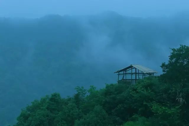 婺源民宿十佳排名婺源流苏小筑,婺源必去的三个景点民宿推荐