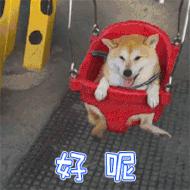 退款5亿！重罚600万！坑骗800余人！福建这个楼盘“栽”了！