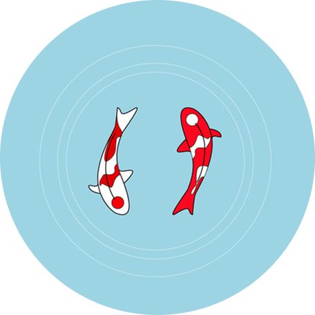 她刚开始向我表白,她很主动的跟我表白