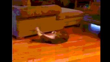 英国留学生必做的66件事,英国留学生必做的10件事