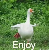 有的144hz显示器为什么这么便宜,显示器上限144要不要限制144