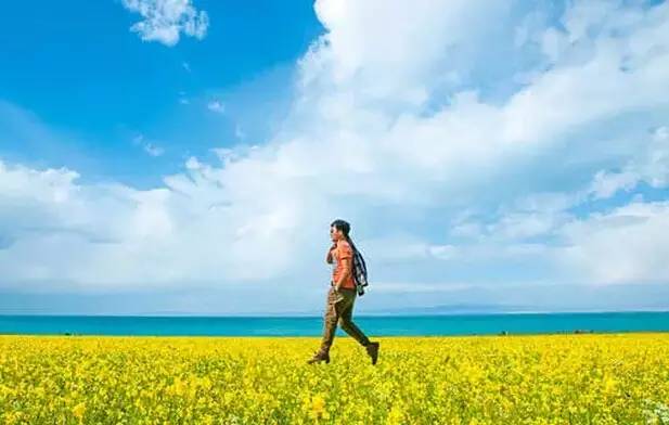 拍照油菜花技术技巧,手机拍摄油菜花人像摄影方法