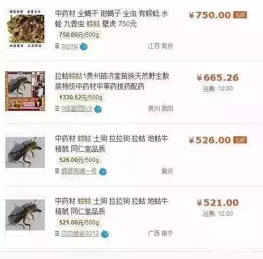 农村不可思议的东西,不可思议的新疆手工艺品