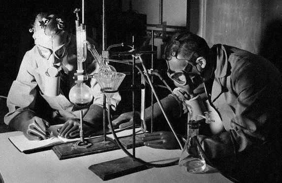 紫杉醇发现历程,解密紫杉醇