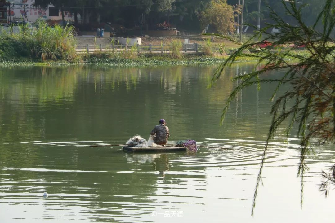 漳州大v排行,大v推荐传奇